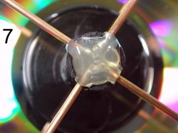 antenna internet8